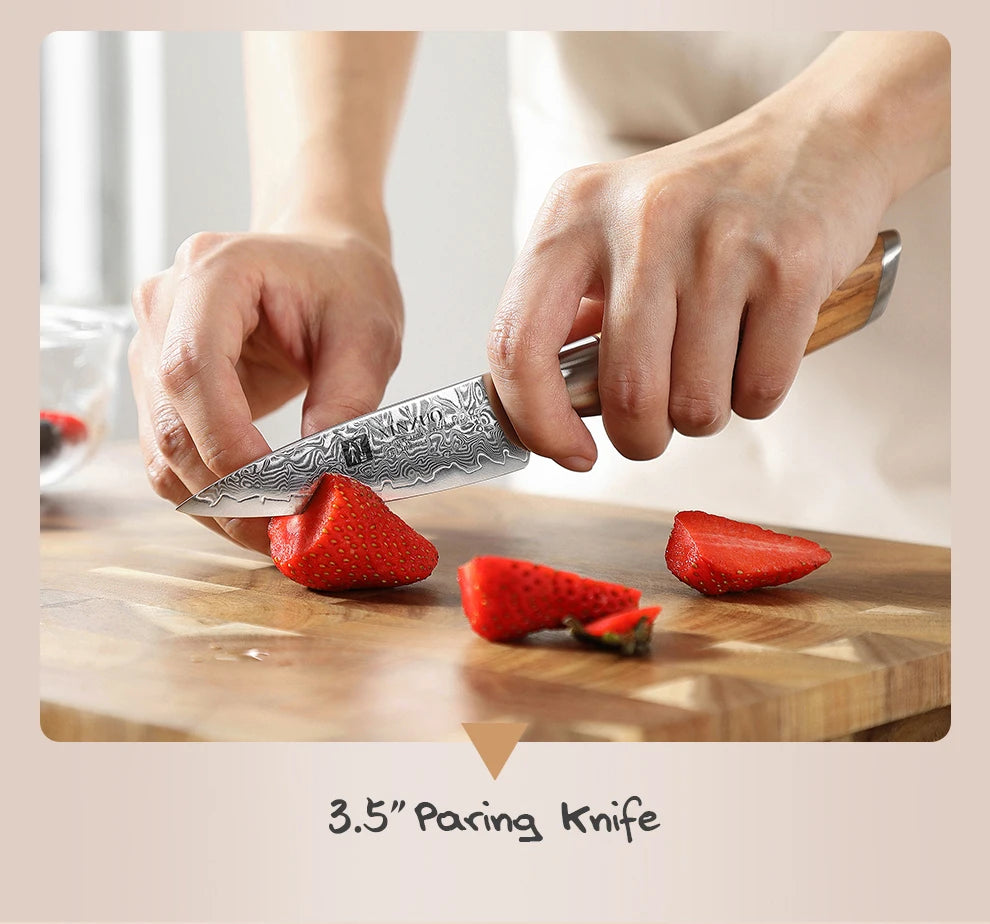 XINZUO Damastmesser-Set – 73 Lagen Präzision mit Olivenholz-Finish