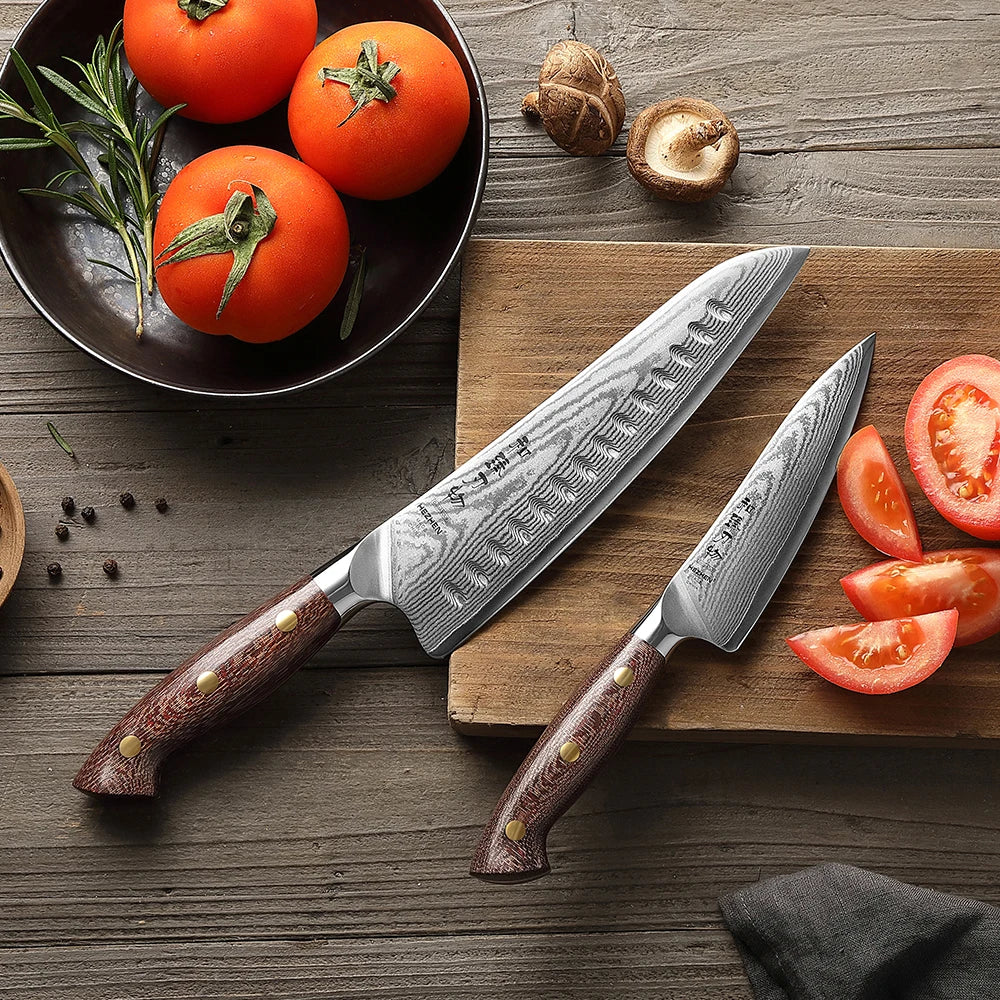 HEZHEN 2‑teiliges Damaststahl‑Messer‑Set mit Micarta‑Griff – Profi‑Klingen für deine Küche
