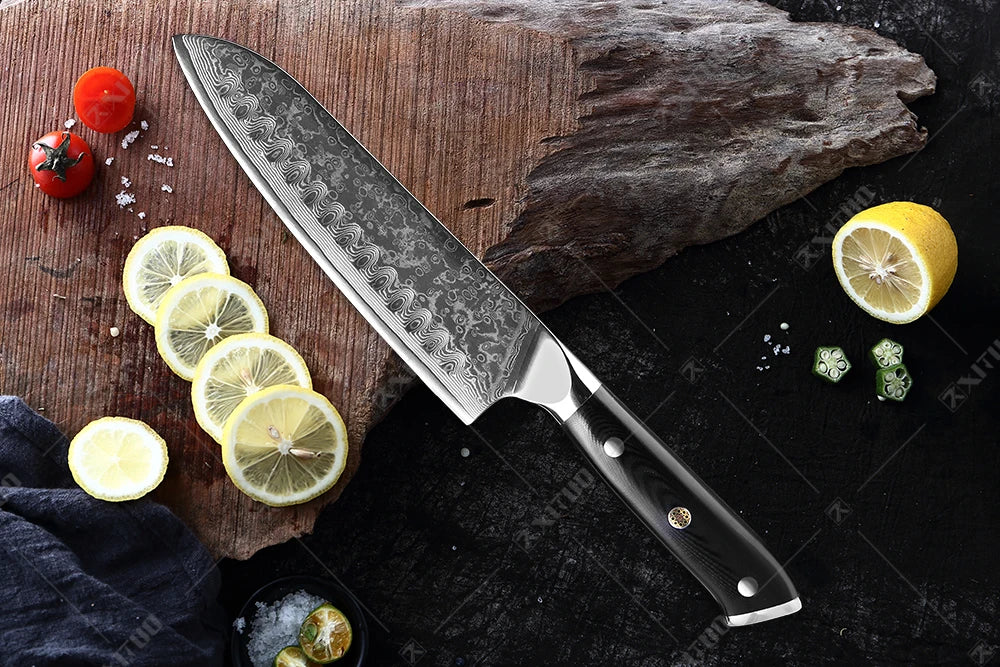 XITUO Damastmesser-Set – Japanischer Stahl trifft auf BBQ-Power