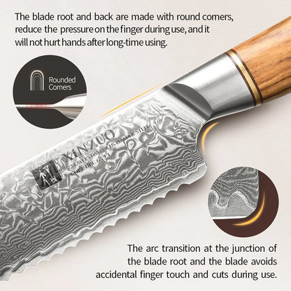XINZUO Damastmesser-Set – 73 Lagen Präzision mit Olivenholz-Finish