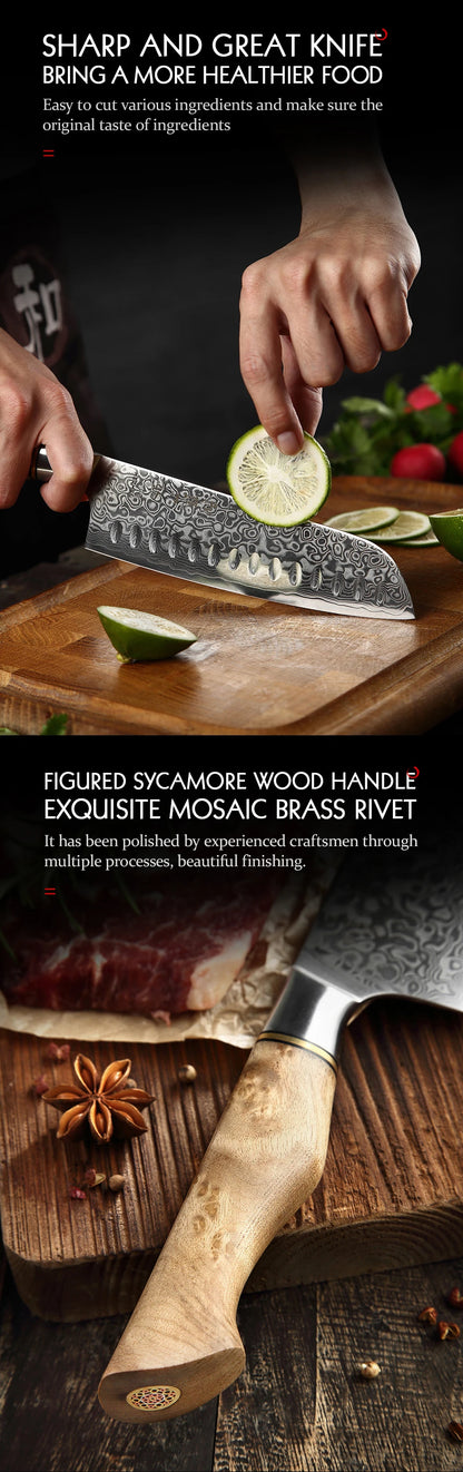 HEZHEN Damastmesser-Set – Scharfe Eleganz trifft auf Profi-Performance